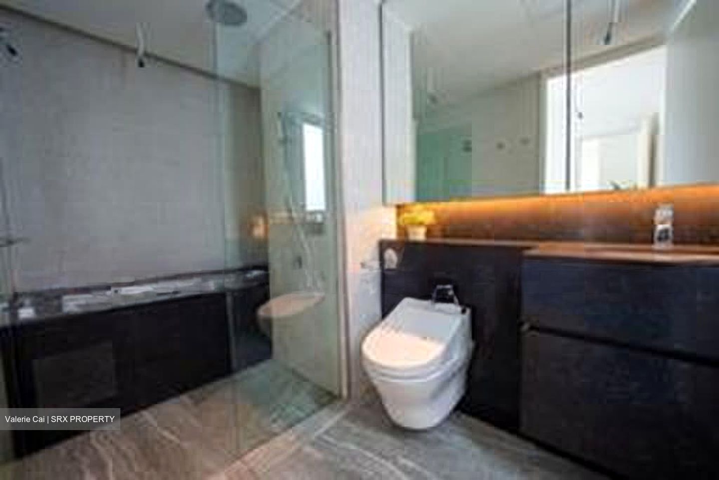 10 Evelyn (D11), Apartment #605401321